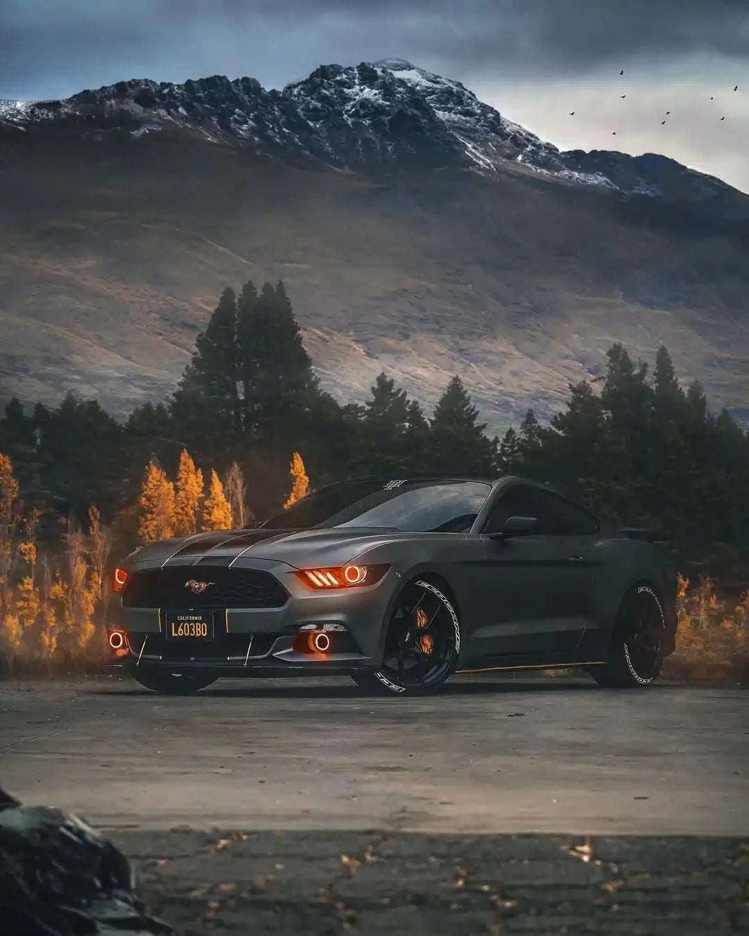 ORACLE Lighting 2015-2017 Ford Mustang V6/GT/Shelby ColorSHIFT DRL Upgrade w/Halo Kit by ORACLE Lighting