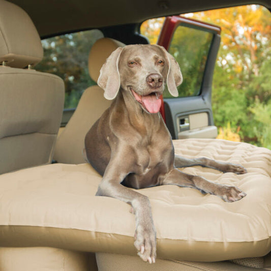 Pittman Outdoors Rear Seat Air Mattress Full-Size. Fits SUV's & Full-size Trucks by AirBedz