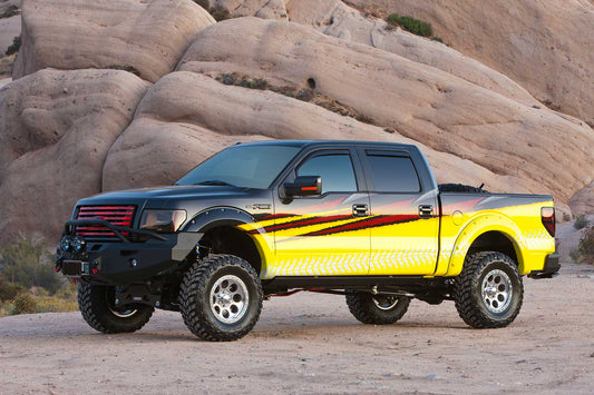 6" BASIC SYS GEN II W/STEALTH 2009-13 FORD F150 4WD. by Fabtech