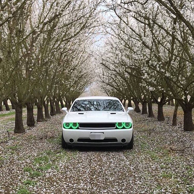 ORACLE Lighting 2008-2014 Dodge Challenger LED Headlight Halo Kit - Standard Mount by ORACLE Lighting