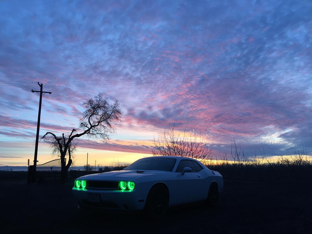 ORACLE Lighting 2008-2014 Dodge Challenger LED Headlight Halo Kit - Standard Mount by ORACLE Lighting