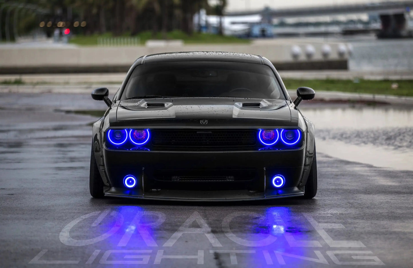 ORACLE Lighting 2008-2014 Dodge Challenger LED Fog Light Halo Kit - Surface Mount by ORACLE Lighting