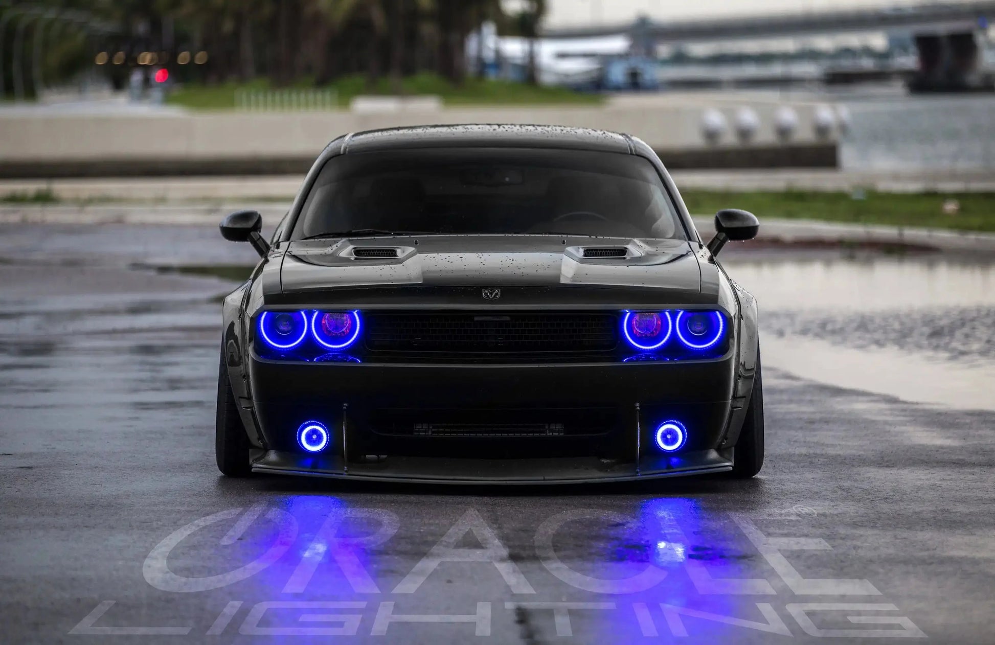 ORACLE Lighting 2008-2014 Dodge Challenger LED Fog Light Halo Kit - Standard Mount by ORACLE Lighting