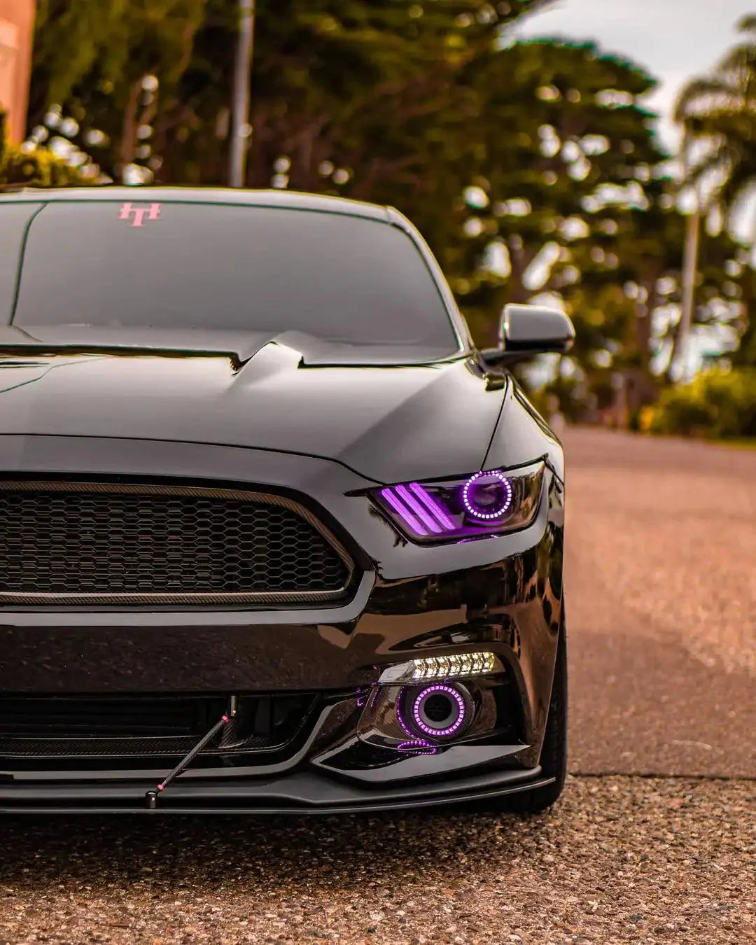 ORACLE Lighting 2015-2017 Ford Mustang V6/GT/Shelby ColorSHIFT DRL Upgrade w/Halo Kit by ORACLE Lighting