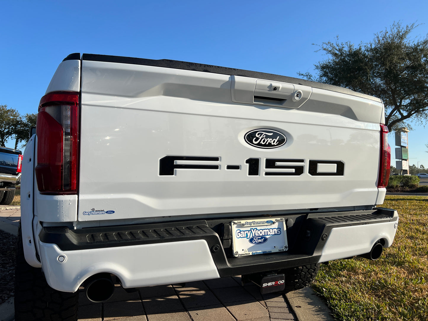 Tailgate Letter Inserts Fits 2021-2026 Ford F-150 by Tufskinz.com
