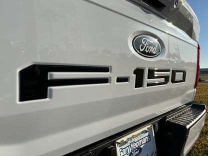 Tailgate Letter Inserts Fits 2021-2026 Ford F-150 by Tufskinz.com