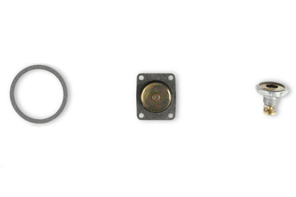 Fast Kit Carburetor Rebuild Kit Model Number 4160 by Holley