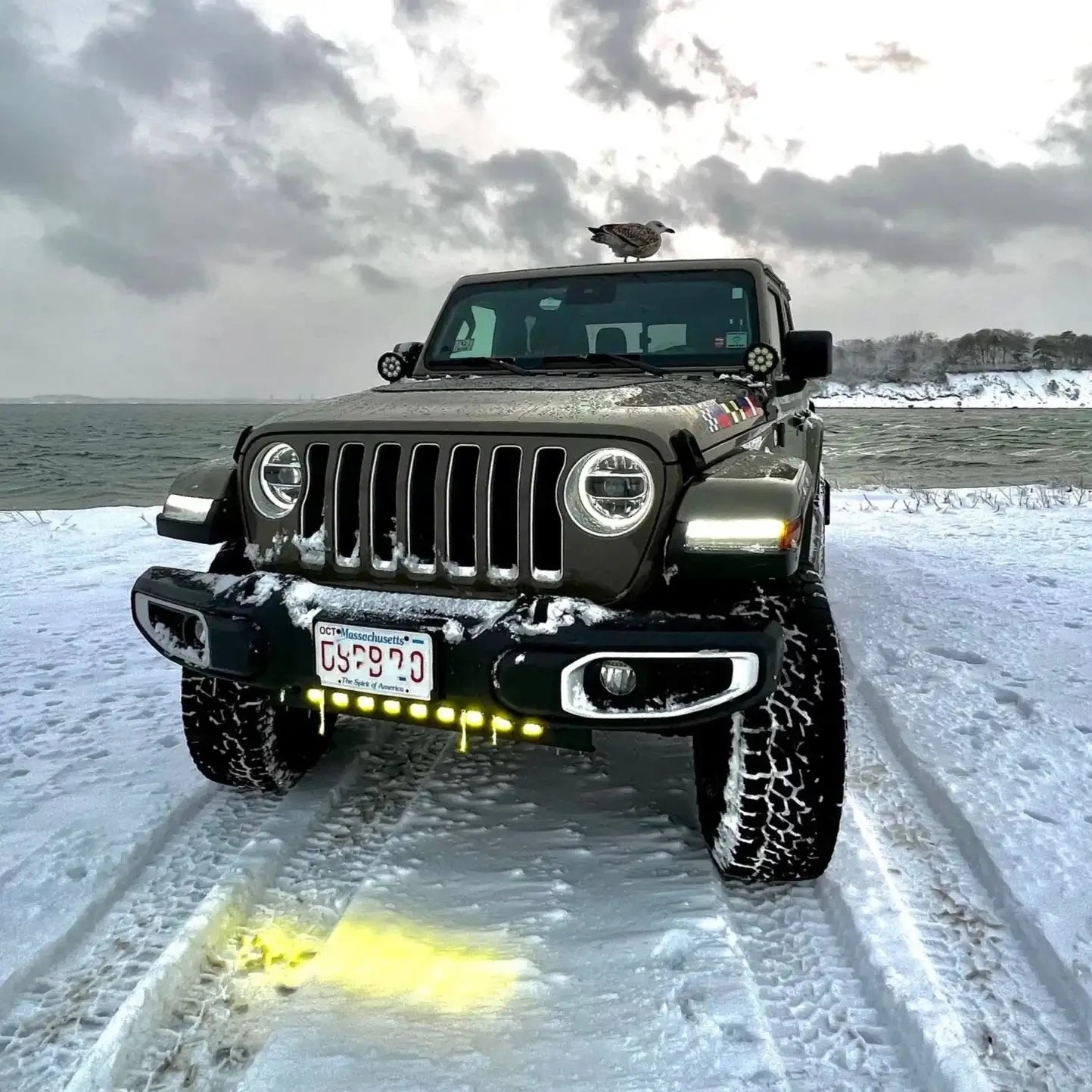 ORACLE Lighting Skid Plate with Integrated LED Emitters for Jeep Wrangler JL and Gladiator JT by ORACLE Lighting