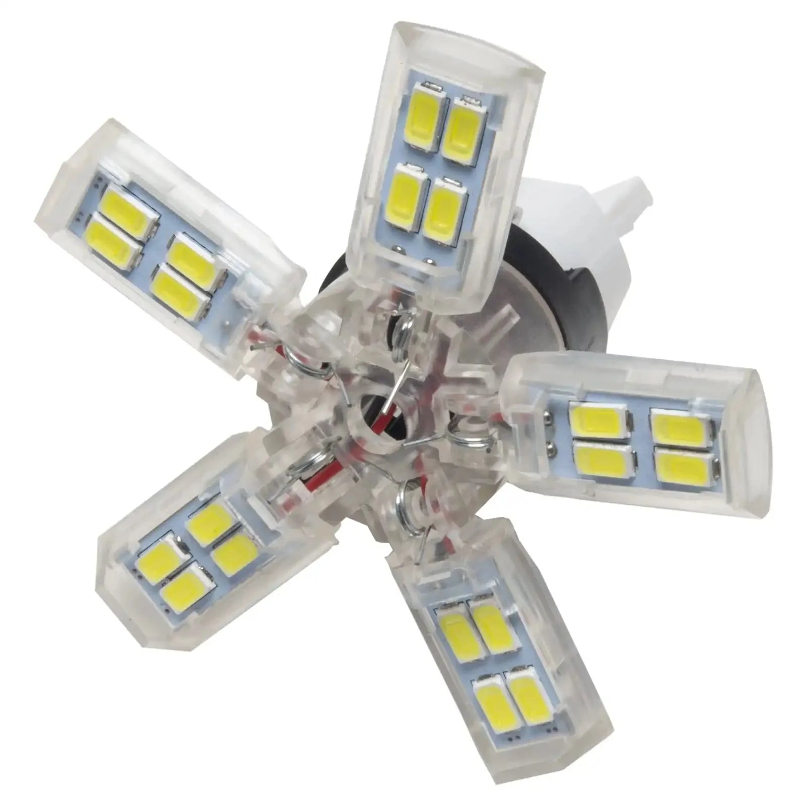 ORACLE 7440 24 SMD 3 Chip Spider Bulb (Single) - Cool White by ORACLE Lighting