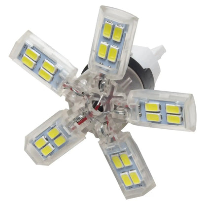 ORACLE 7440 24 SMD 3 Chip Spider Bulb (Single) - Cool White by ORACLE Lighting