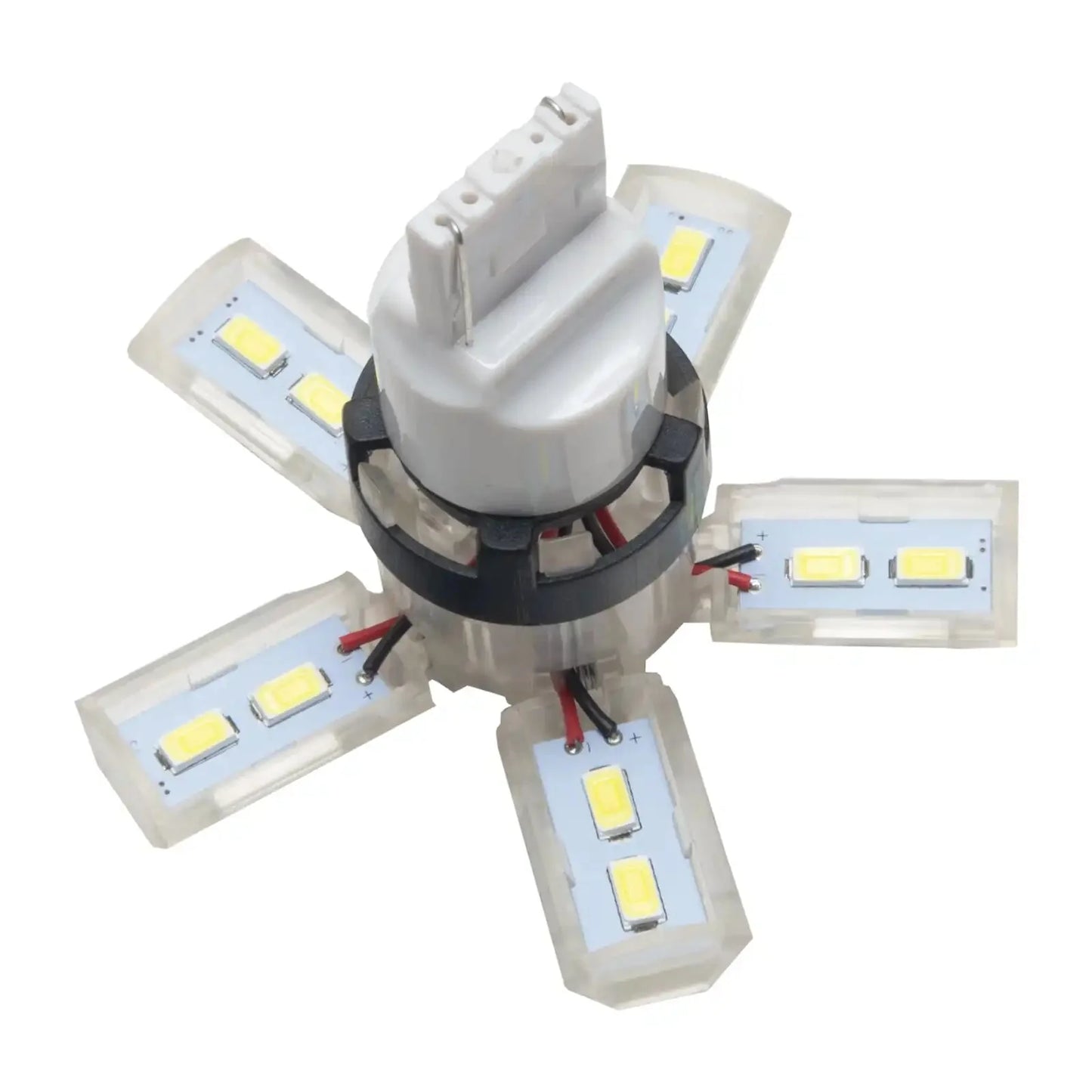 ORACLE 7440 24 SMD 3 Chip Spider Bulb (Single) - Cool White by ORACLE Lighting