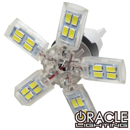 ORACLE 7440 24 SMD 3 Chip Spider Bulb (Single) - Cool White by ORACLE Lighting