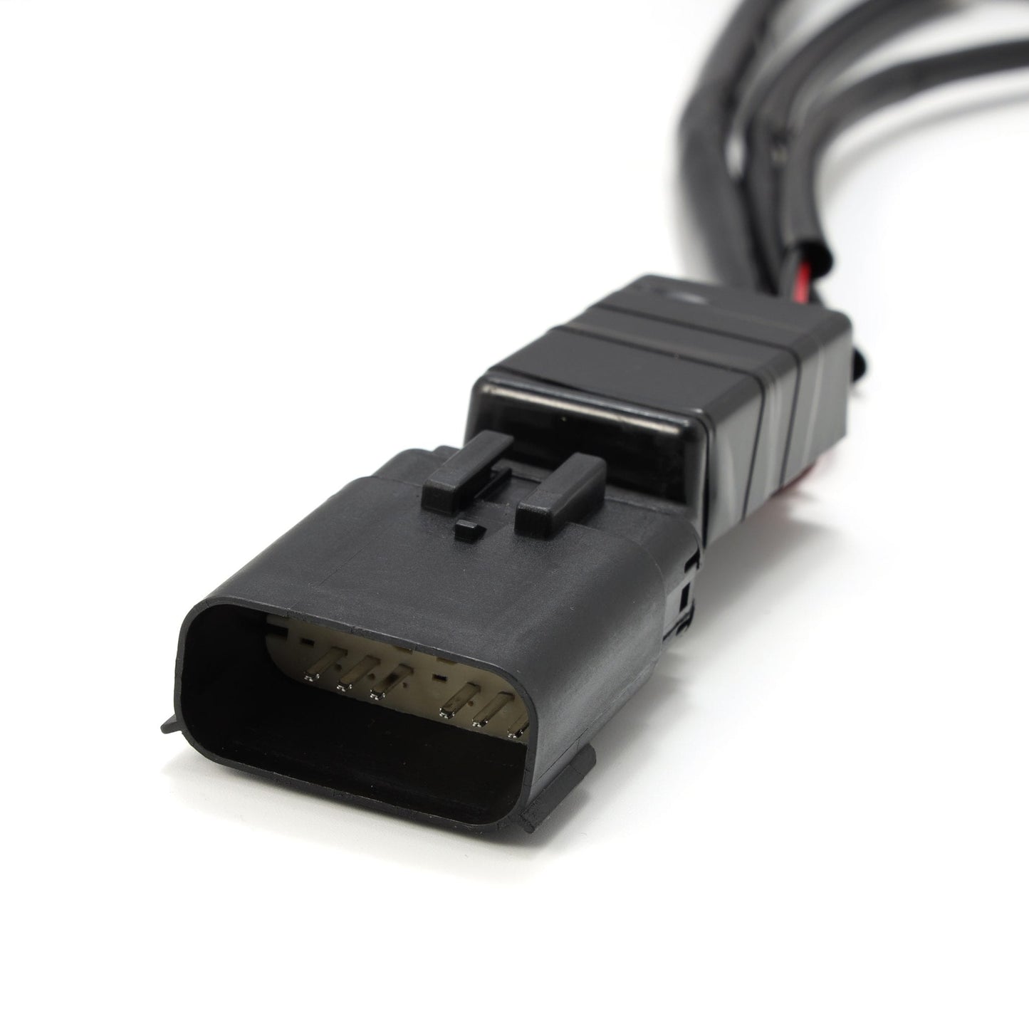 Wiring Adapter for Headlight Assembly by AlphaRex