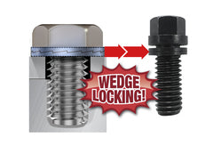 Fits GM LS Engines with 1/4in Wide Flange by Proform