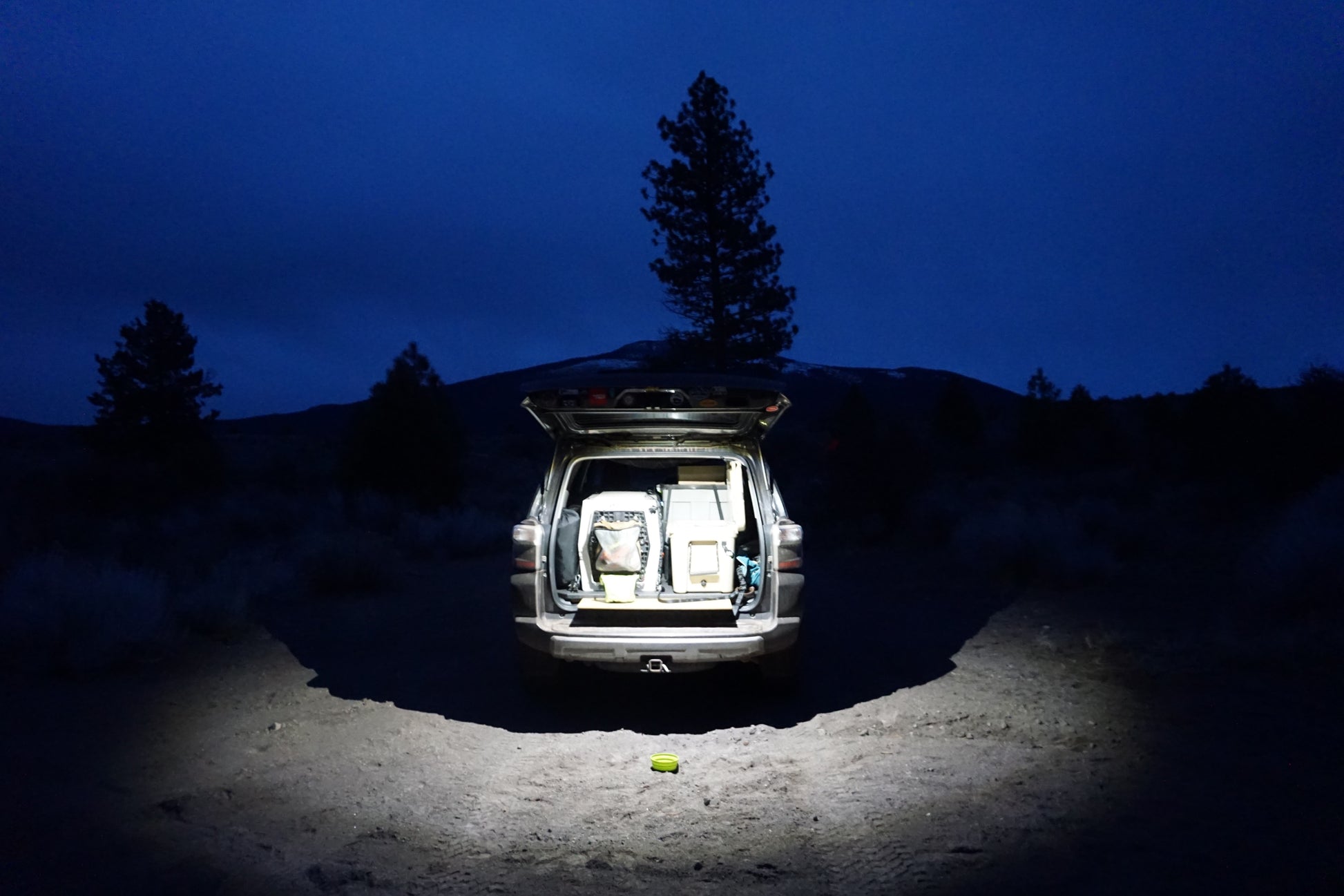 LED Dome Light with Switch (Clear) by Baja Designs