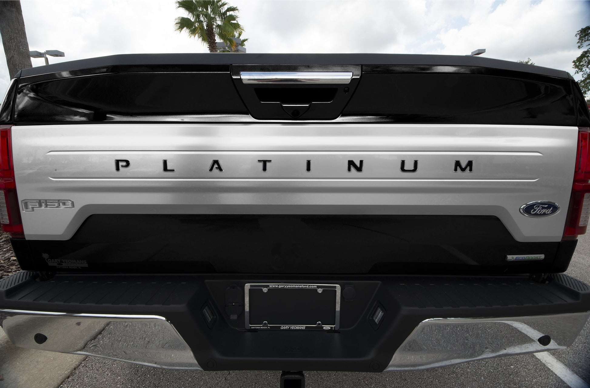 Tailgate Letter Inserts Fits 2018-2020 Ford F-150 Platinum by Tufskinz.com