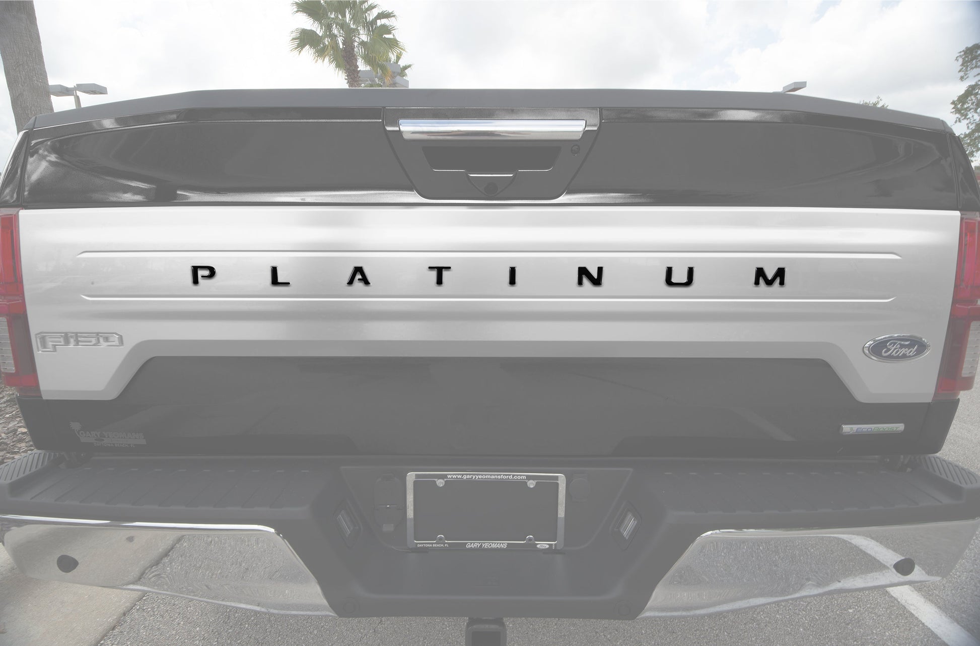 Tailgate Letter Inserts Fits 2018-2020 Ford F-150 Platinum by Tufskinz.com