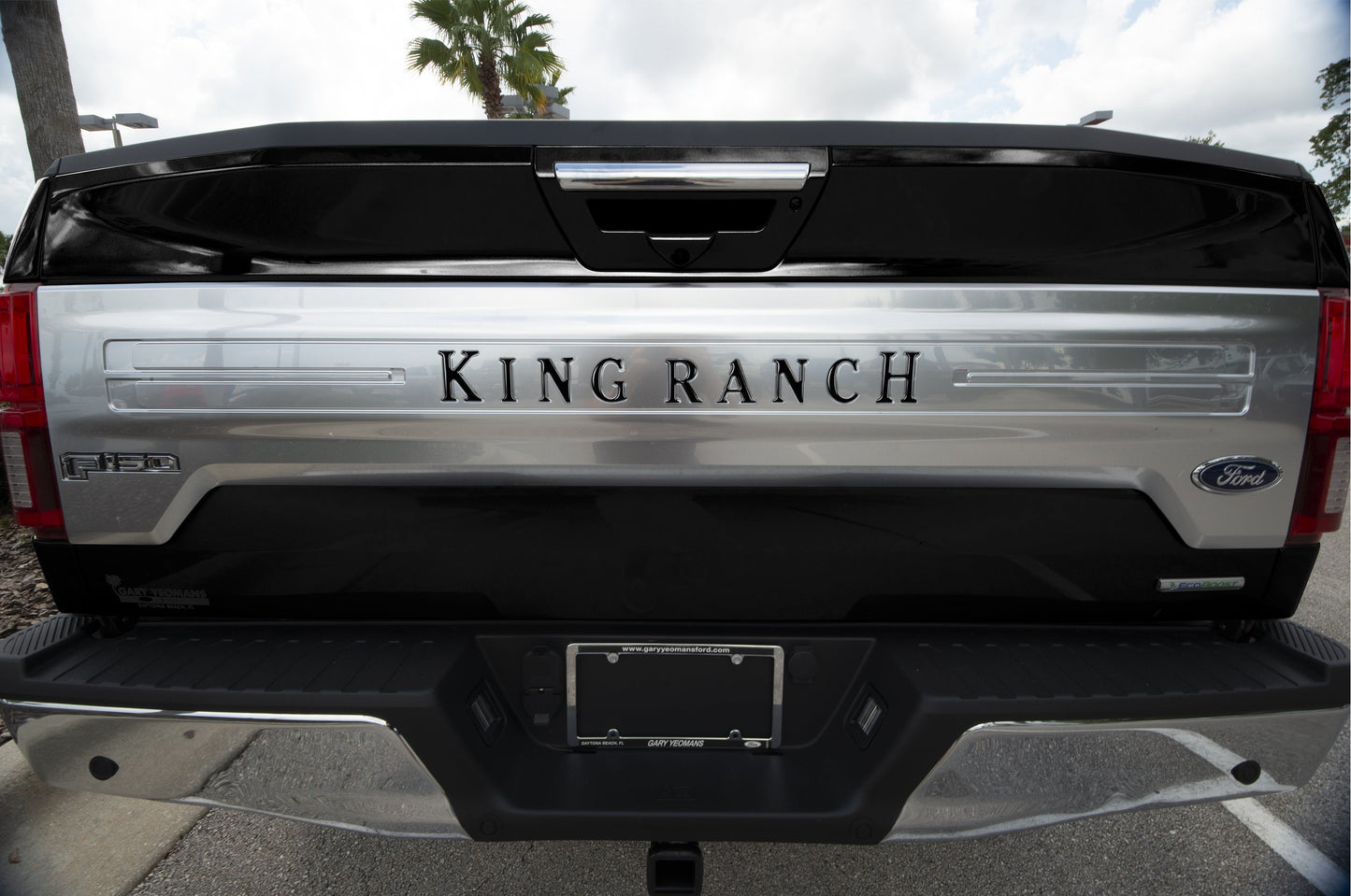 Tailgate Letter Inserts Fits 2018-2020 Ford F-150 King Ranch by Tufskinz.com