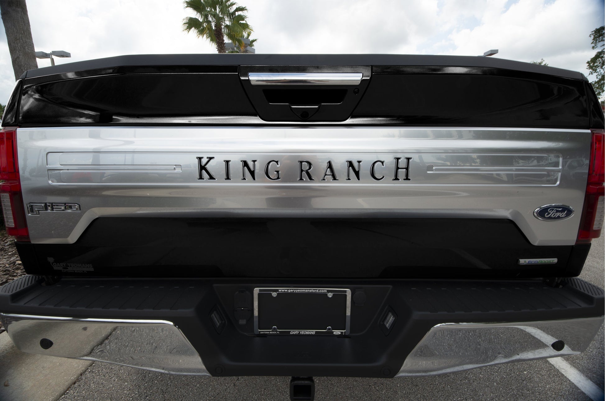 Tailgate Letter Inserts Fits 2018-2020 Ford F-150 King Ranch by Tufskinz.com