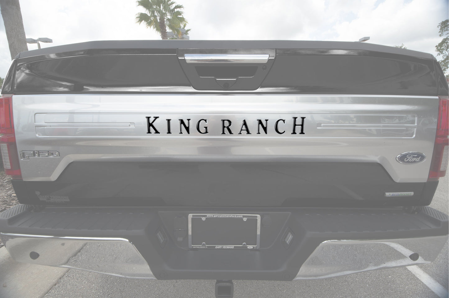 Tailgate Letter Inserts Fits 2018-2020 Ford F-150 King Ranch by Tufskinz.com