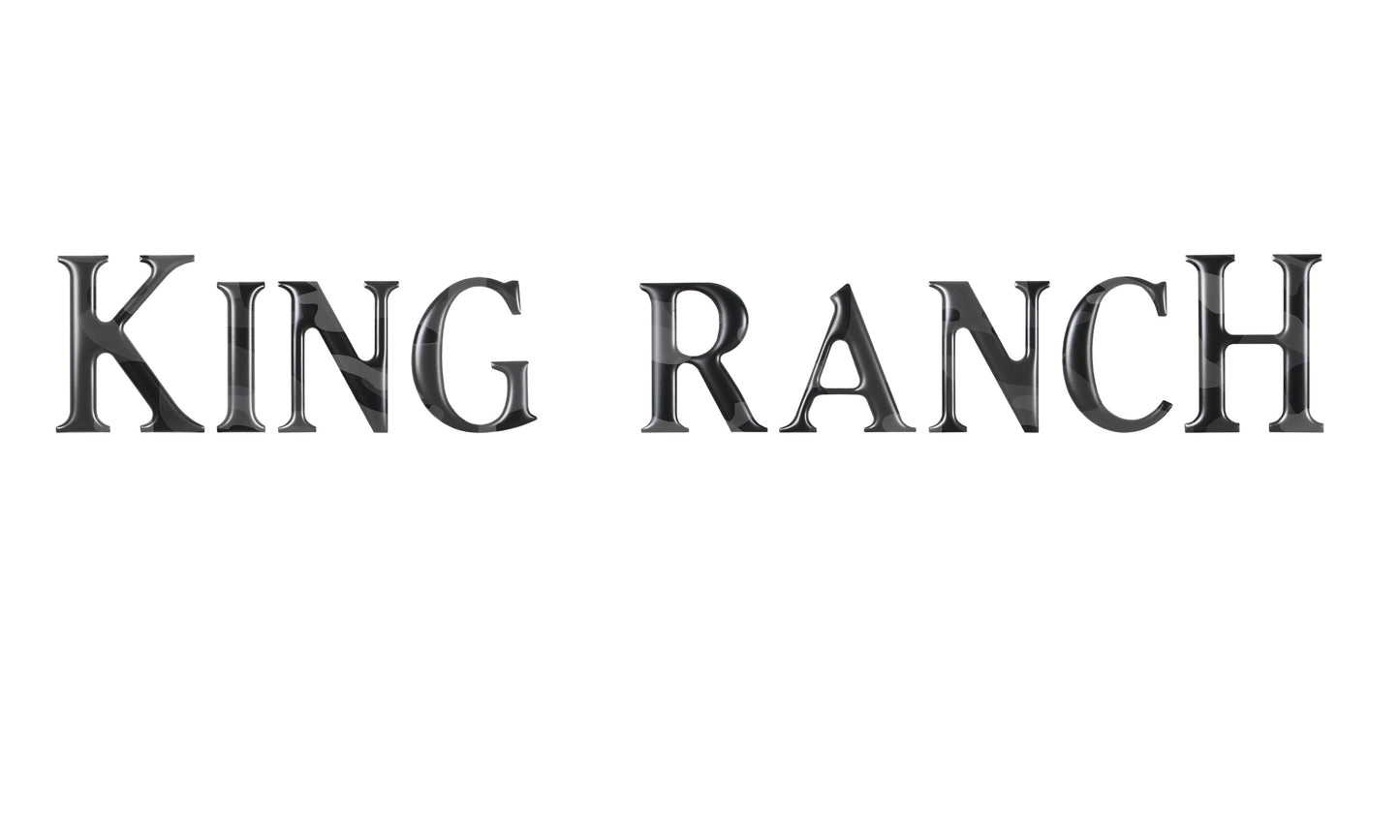 Tailgate Letter Inserts Fits 2018-2020 Ford F-150 King Ranch by Tufskinz.com