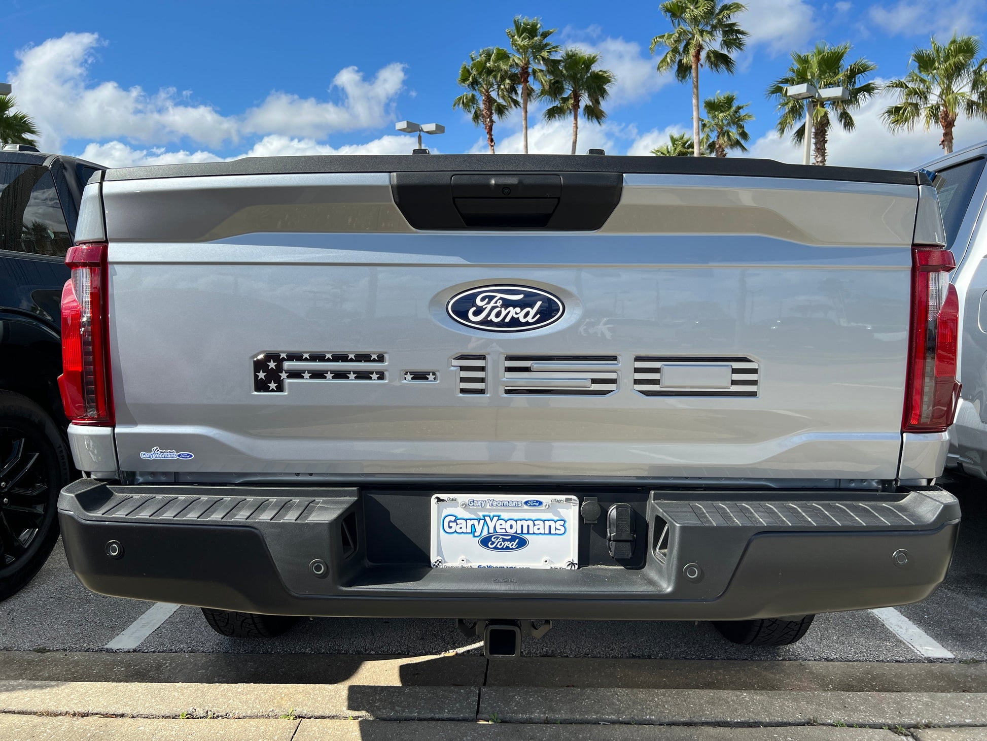 Tailgate Letter Inserts Fits 2021-2026 Ford F-150 by Tufskinz.com