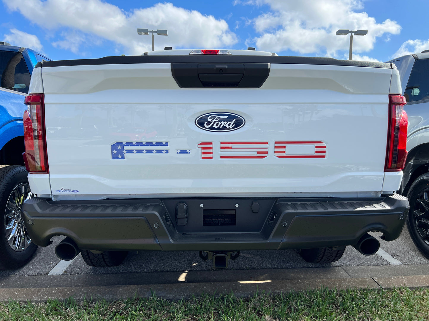 Tailgate Letter Inserts Fits 2021-2026 Ford F-150 by Tufskinz.com