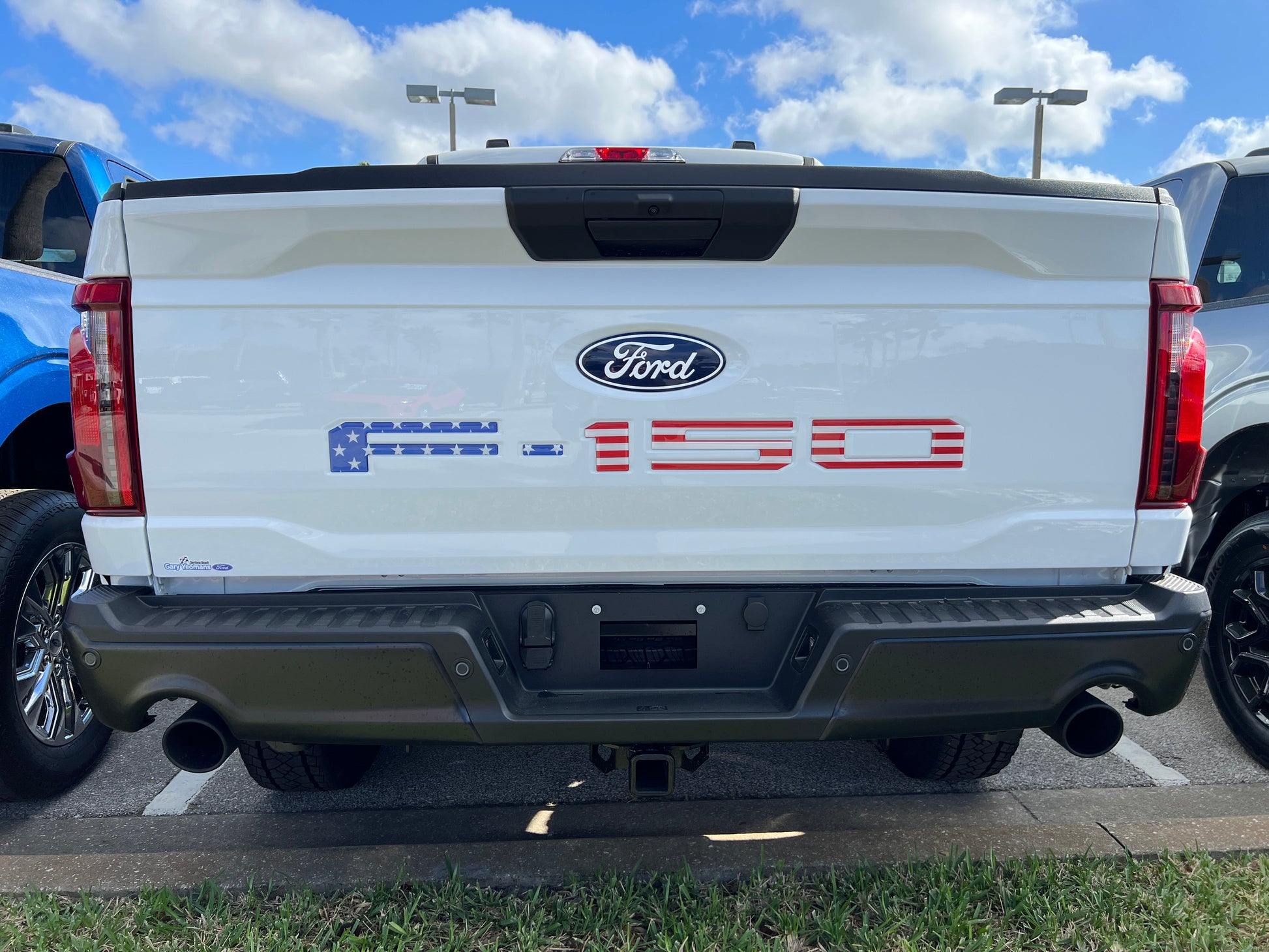 Tailgate Letter Inserts Fits 2021-2026 Ford F-150 by Tufskinz.com
