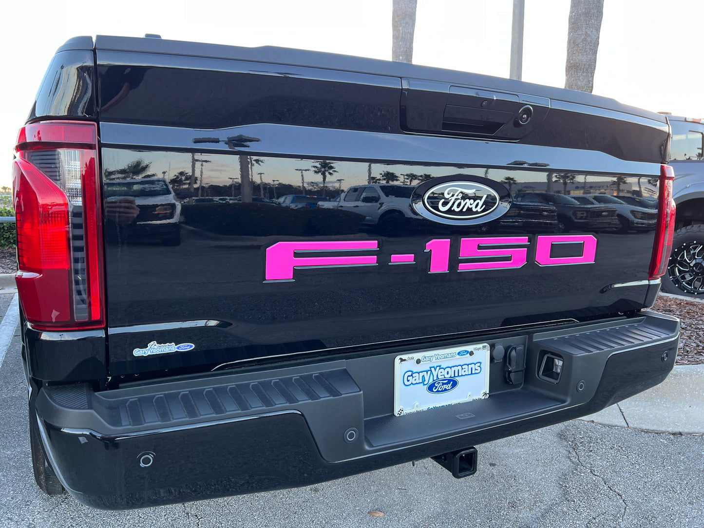 Tailgate Letter Inserts Fits 2021-2026 Ford F-150 by Tufskinz.com