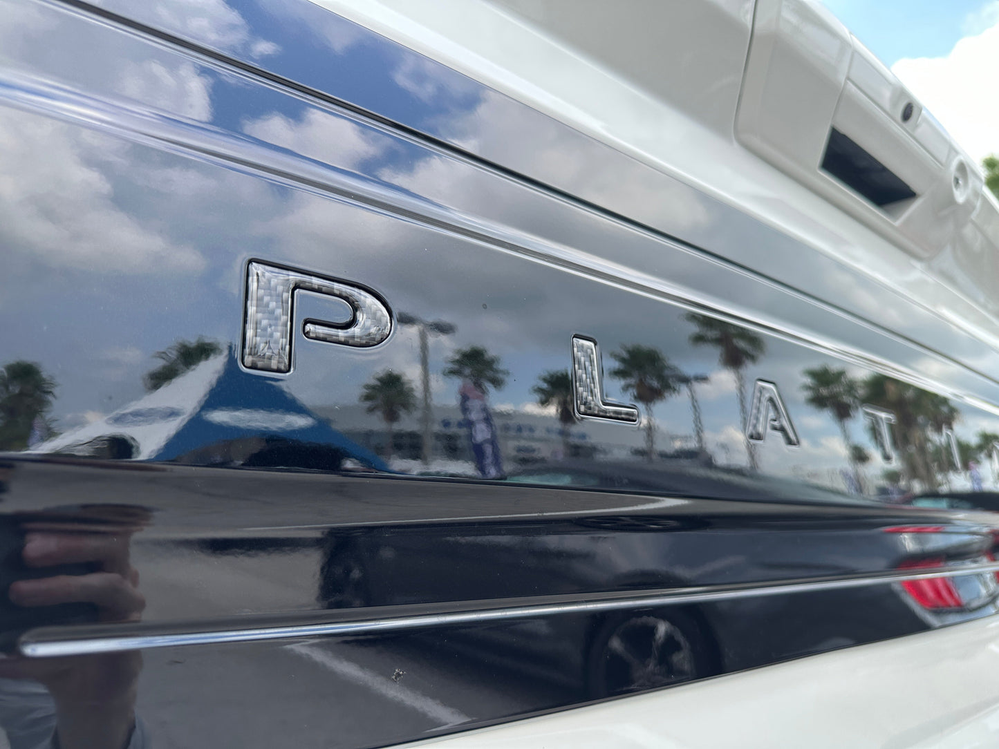Platinum Tailgate Letter Inserts Fits 2021-2023 Ford F-150 by Tufskinz.com