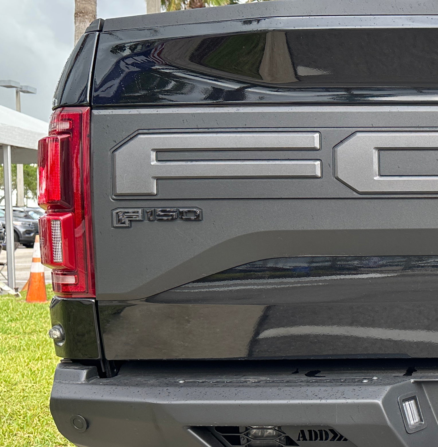 Tailgate Applique Emblem Accent Trim Fits 2017-2020 Ford F-150 Raptor/King Ranch/Platinum/Limited by Tufskinz.com