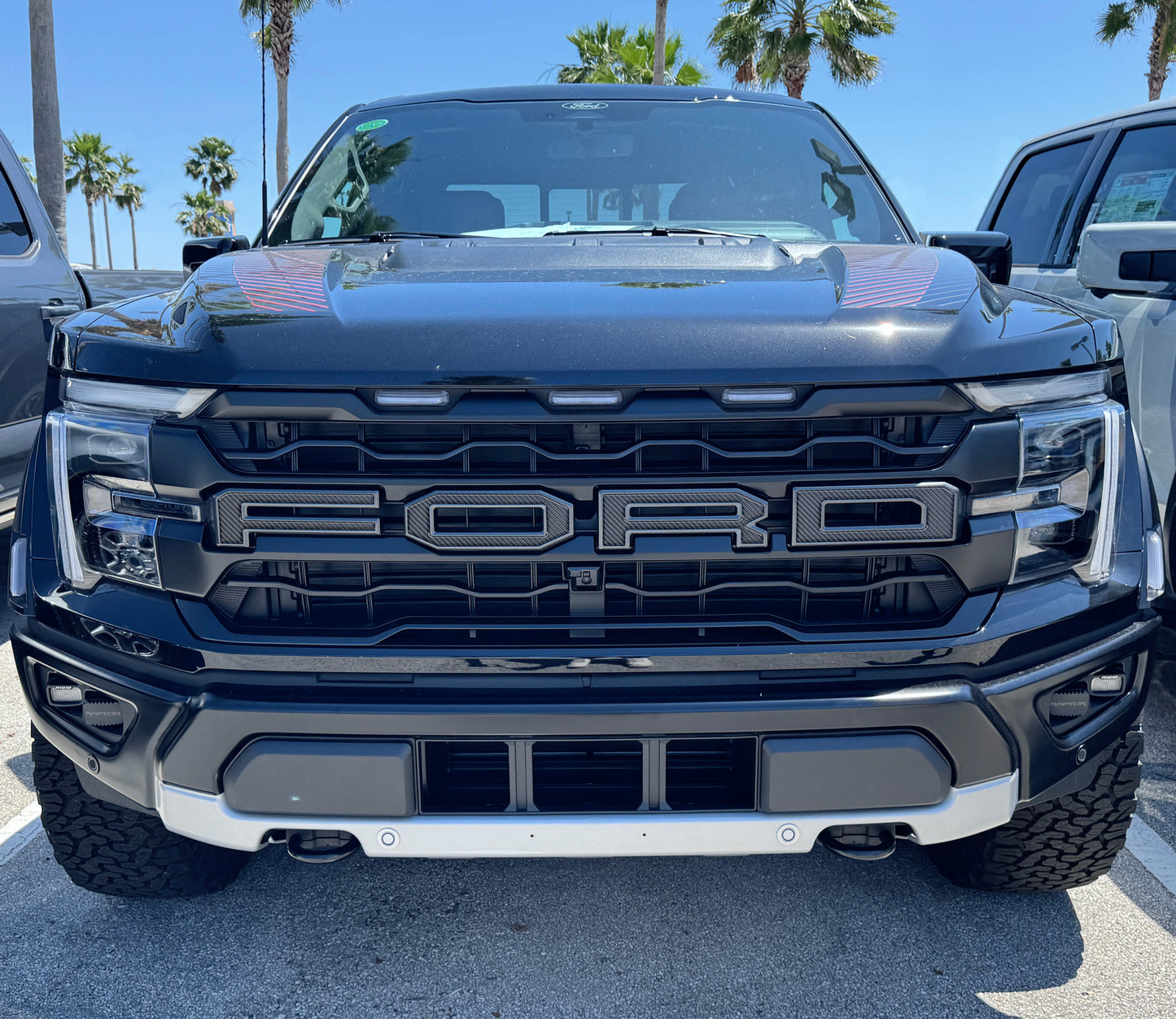 Raptor Front Grille Letters Fits 2021-2026 Ford F-150 Raptor by Tufskinz.com