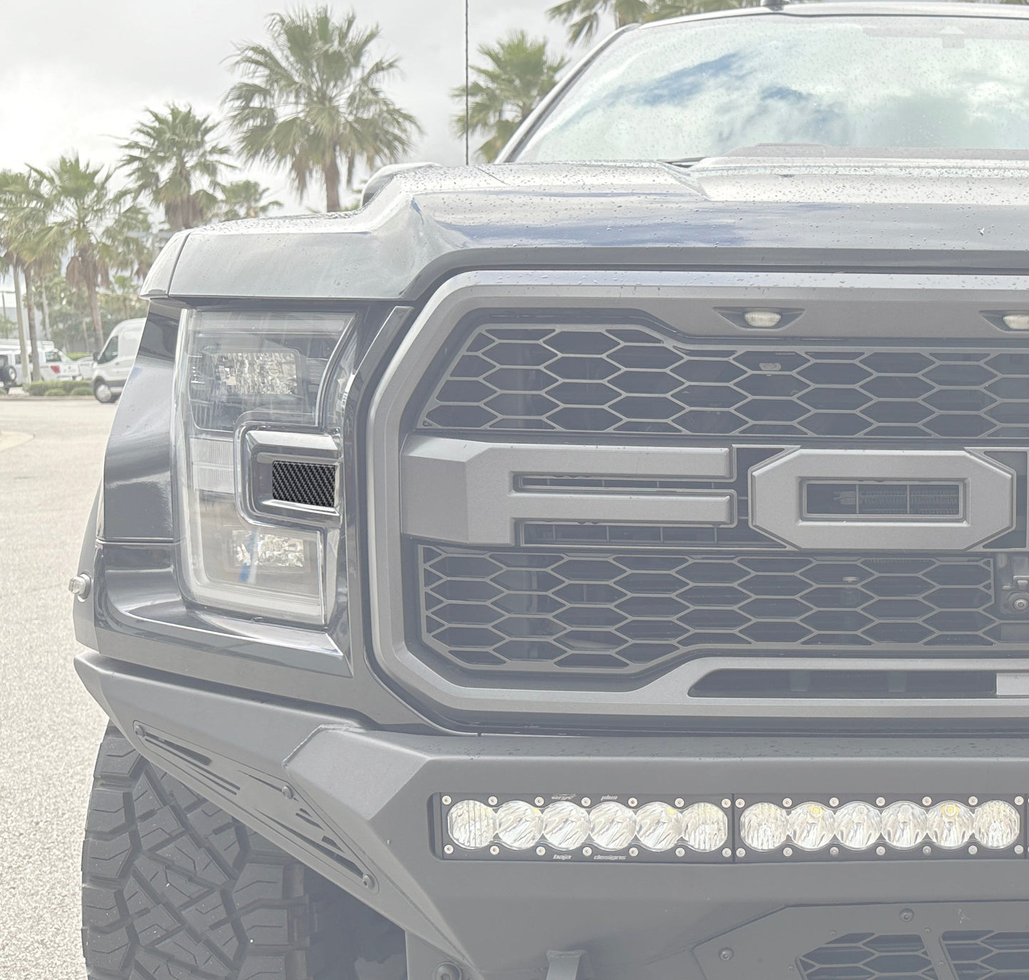 Side Headlight Molding Inserts Fits 2015-2020 Ford Raptor by Tufskinz.com