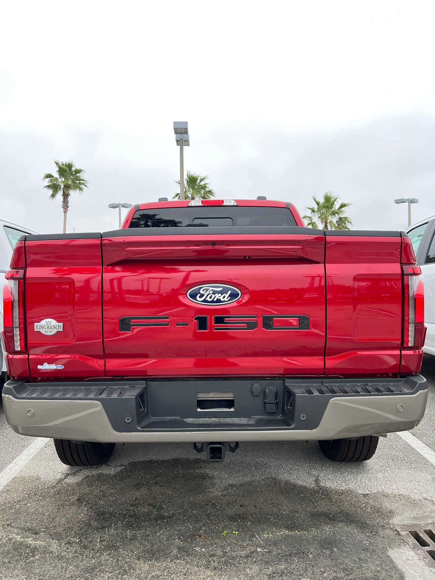 Tailgate Letter Inserts Fits 2021-2026 Ford F-150 by Tufskinz.com