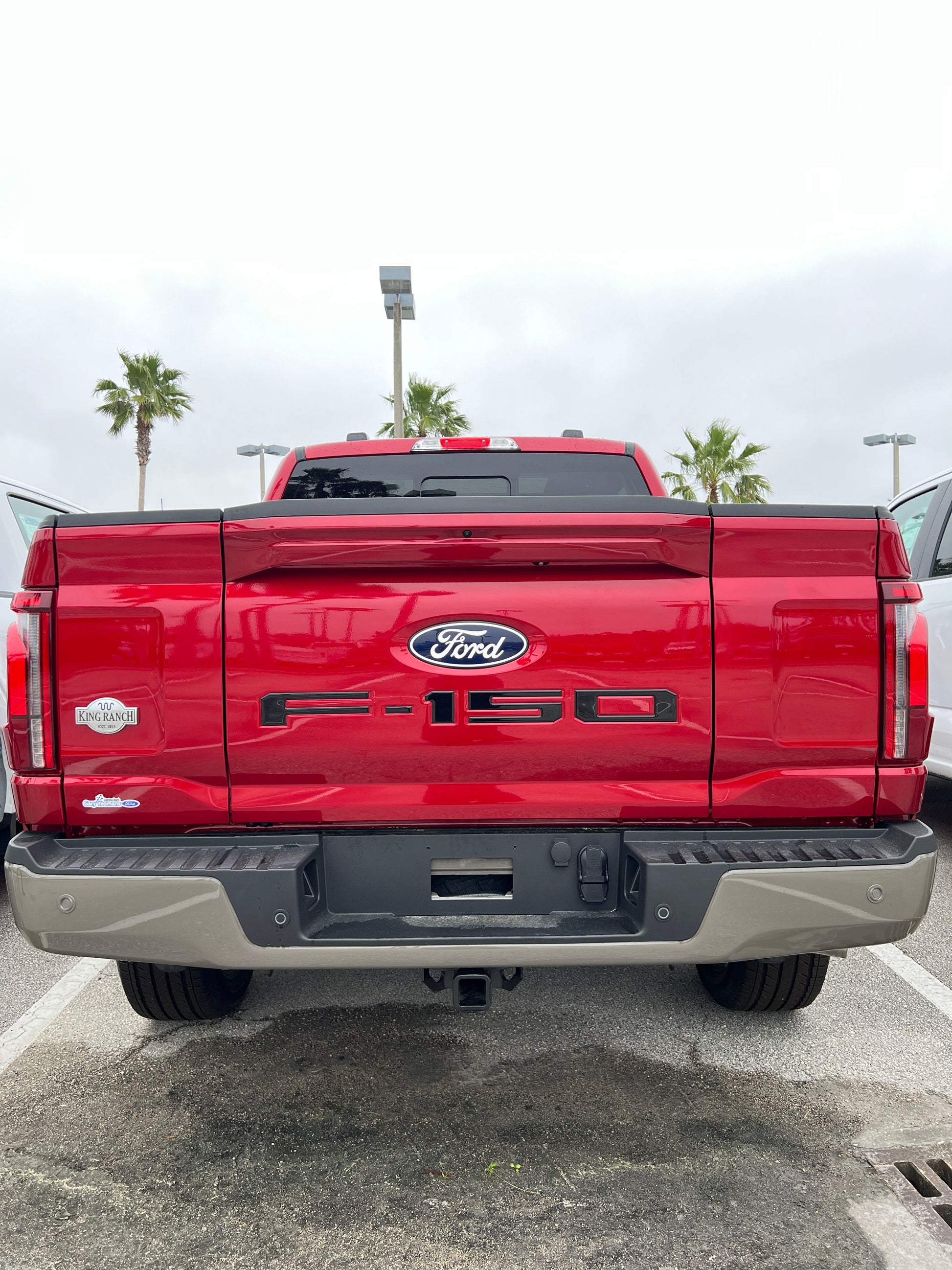 Tailgate Letter Inserts Fits 2021-2026 Ford F-150 by Tufskinz.com