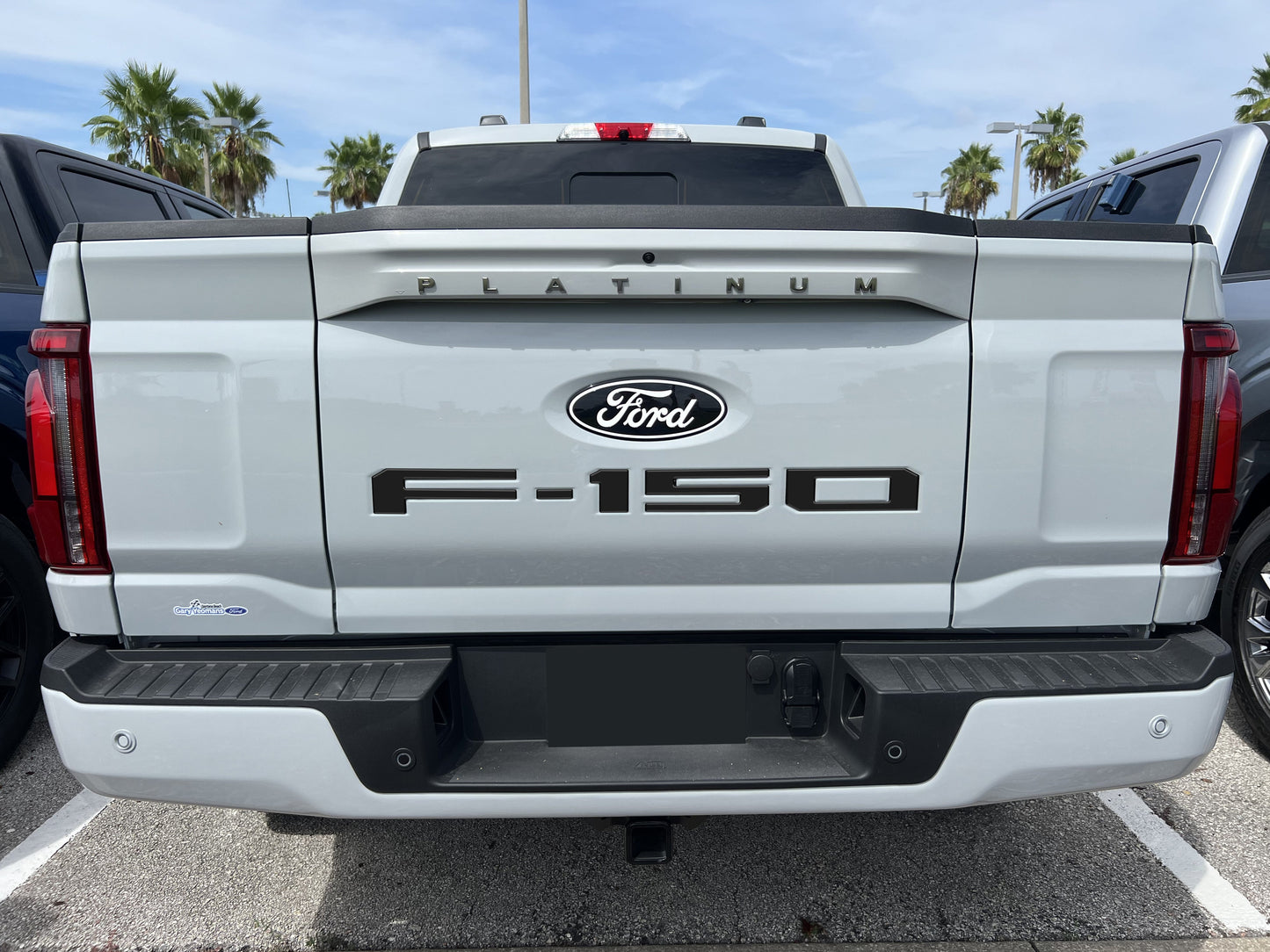 Tailgate Letter Inserts Fits 2021-2026 Ford F-150 by Tufskinz.com