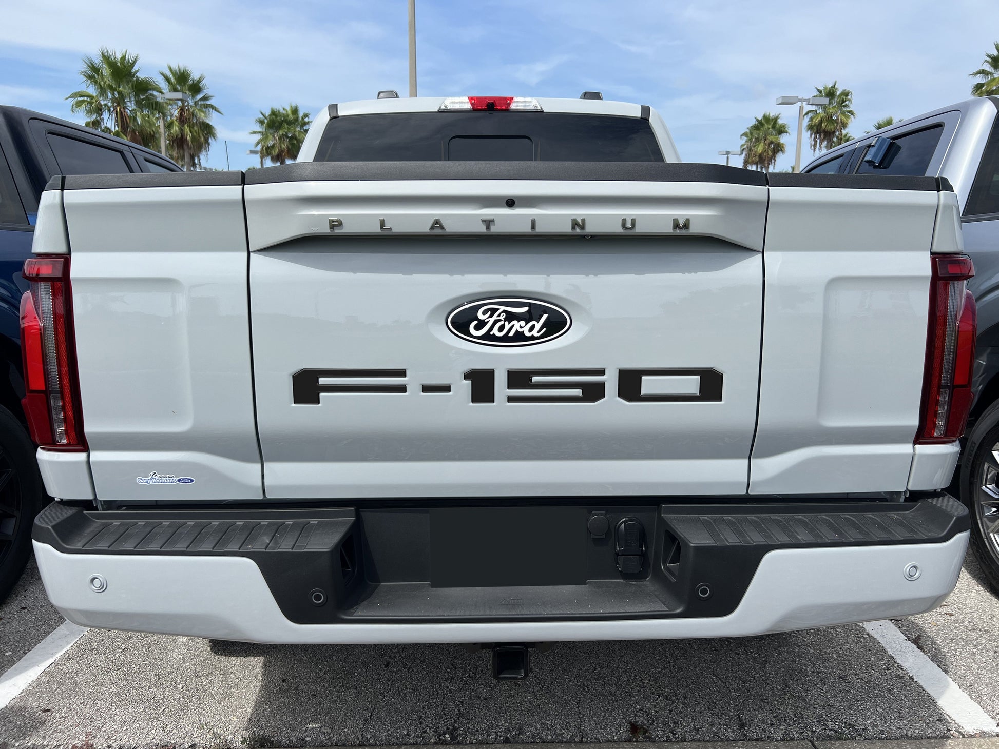 Tailgate Letter Inserts Fits 2021-2026 Ford F-150 by Tufskinz.com