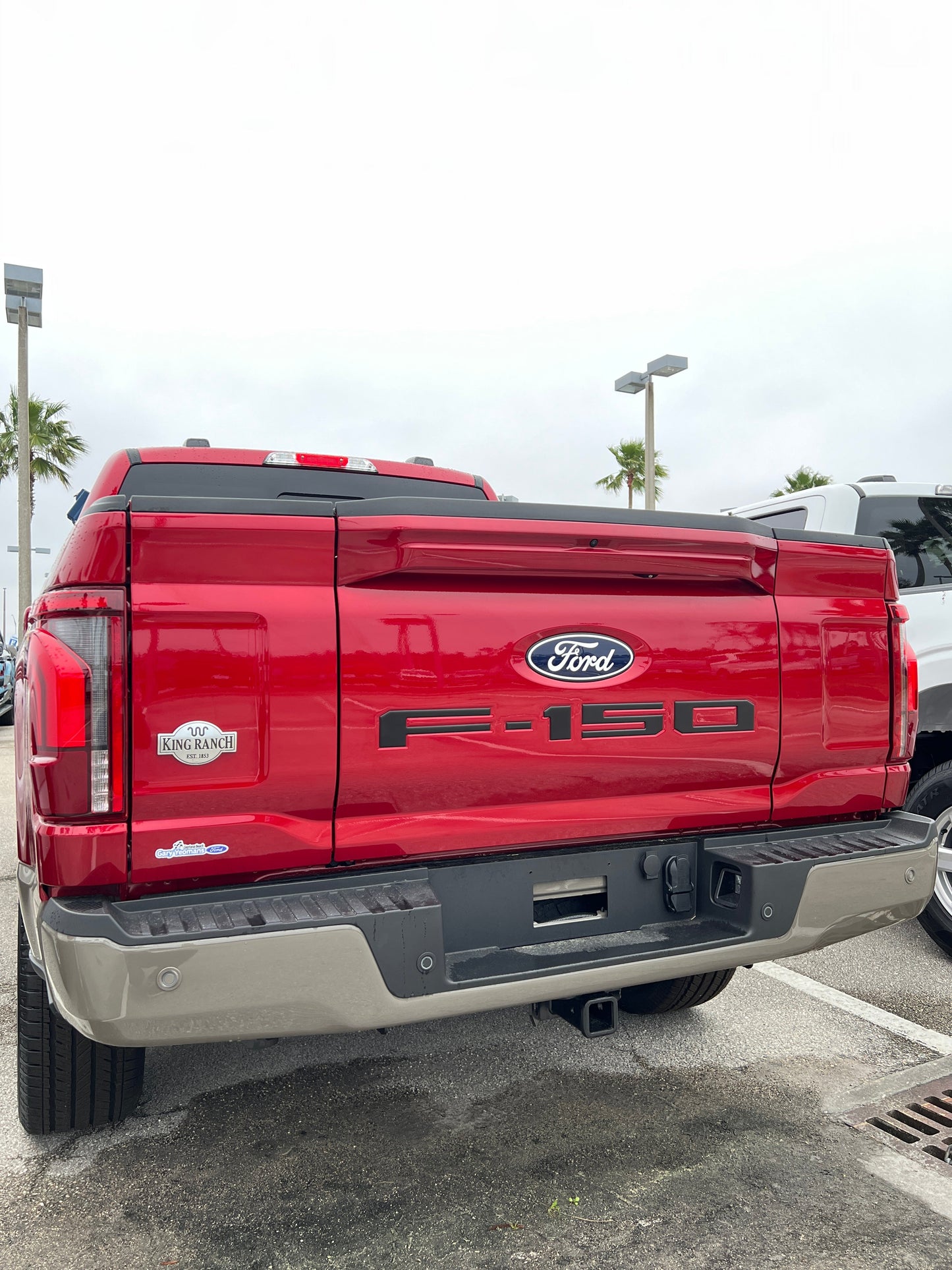 Tailgate Letter Inserts Fits 2021-2026 Ford F-150 by Tufskinz.com