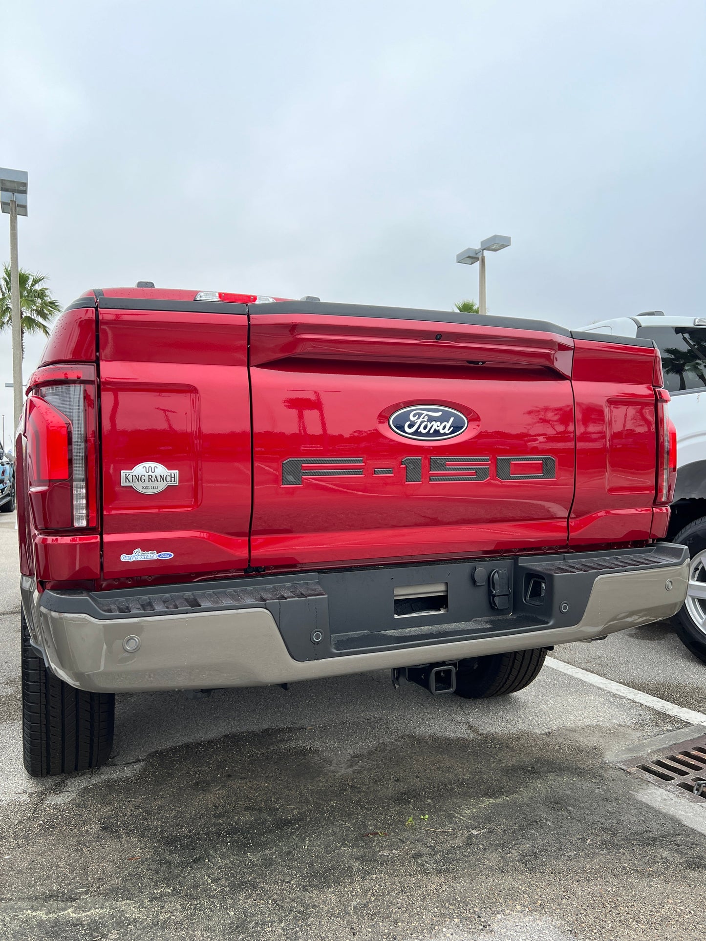 Tailgate Letter Inserts Fits 2021-2026 Ford F-150 by Tufskinz.com