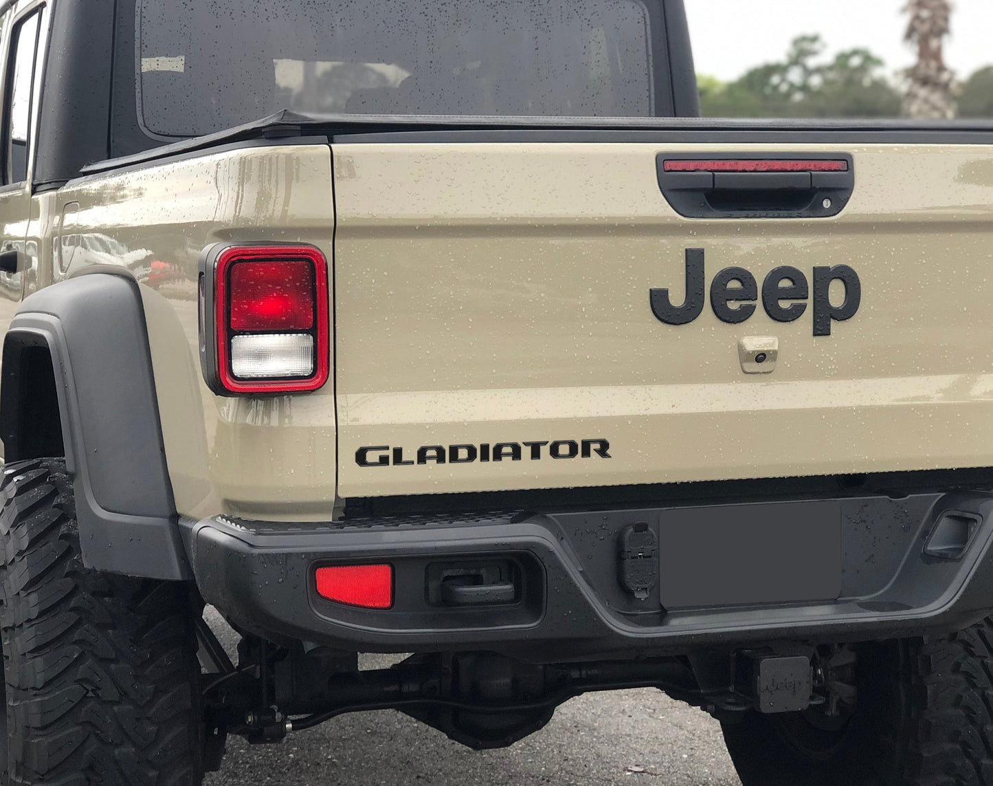 Raised Lettering Decal Fits 2020-2026 Jeep Gladiator by Tufskinz.com