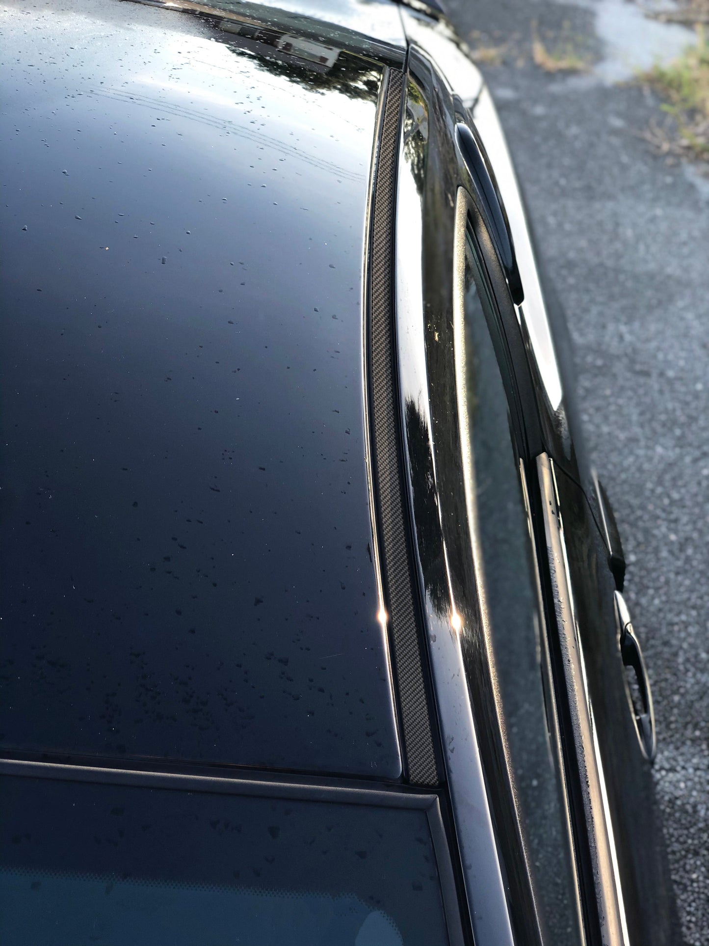 Roof Moulding Accent Trim Fits 2010-2014 Ford Mustang by Tufskinz.com