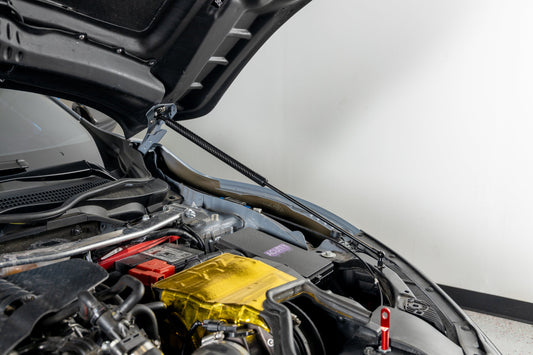 OLM Carbon Fiber Wrapped Hood Struts - 2017-2021 Honda Civic Type R by MYX Automotive