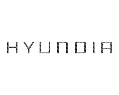 Tailgate Handle Letter Inserts Fits 2022-2026 Hyundai Santa Cruz by Tufskinz.com