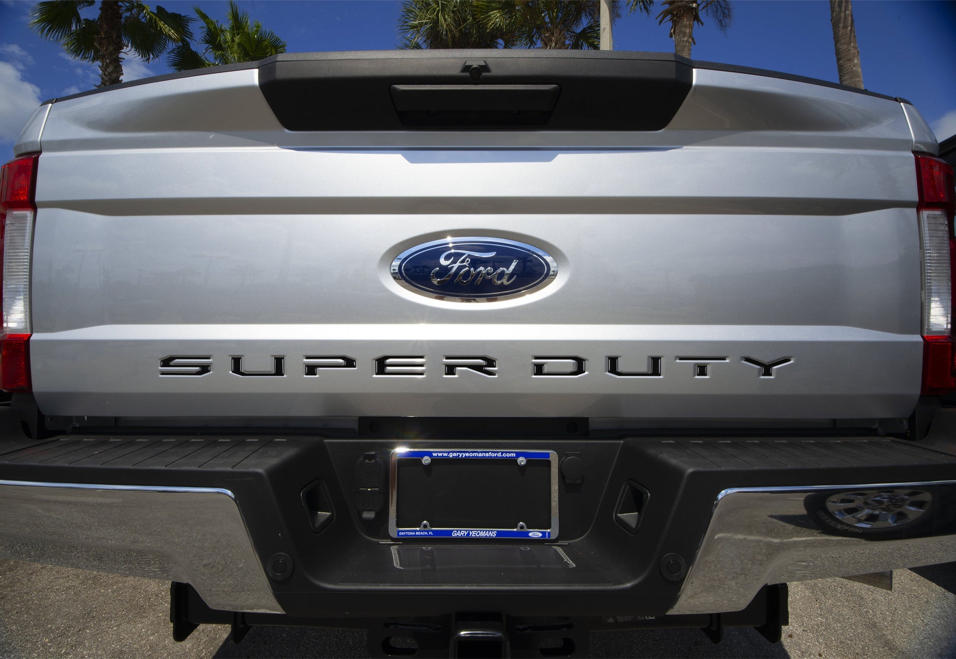 Tailgate Letter Inserts Fits 2017-2019 Ford Super Duty by Tufskinz.com