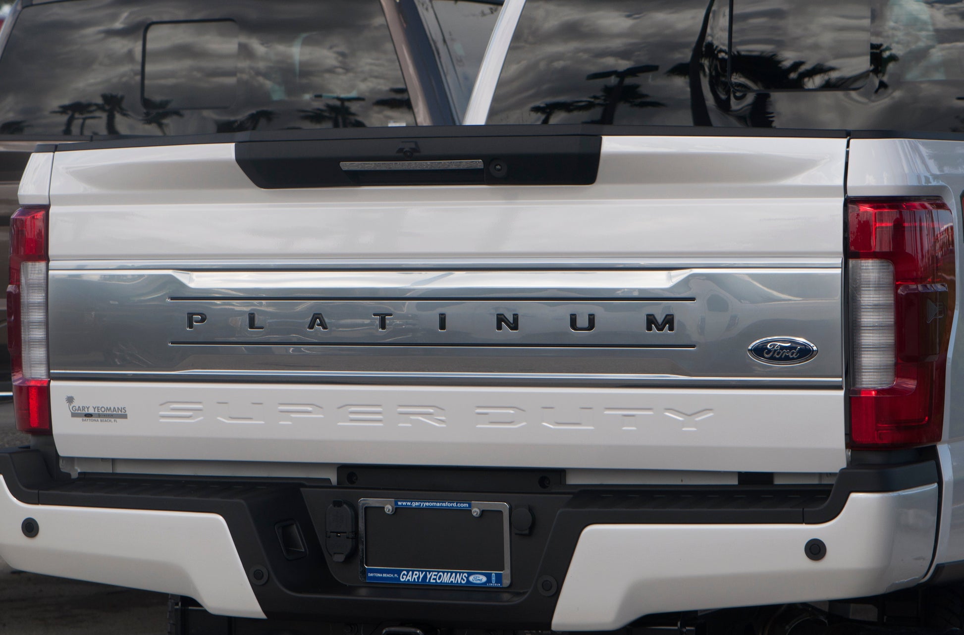 Tailgate Letter and Line Inserts Fits 2017-2019 Ford Super Duty Platinum by Tufskinz.com