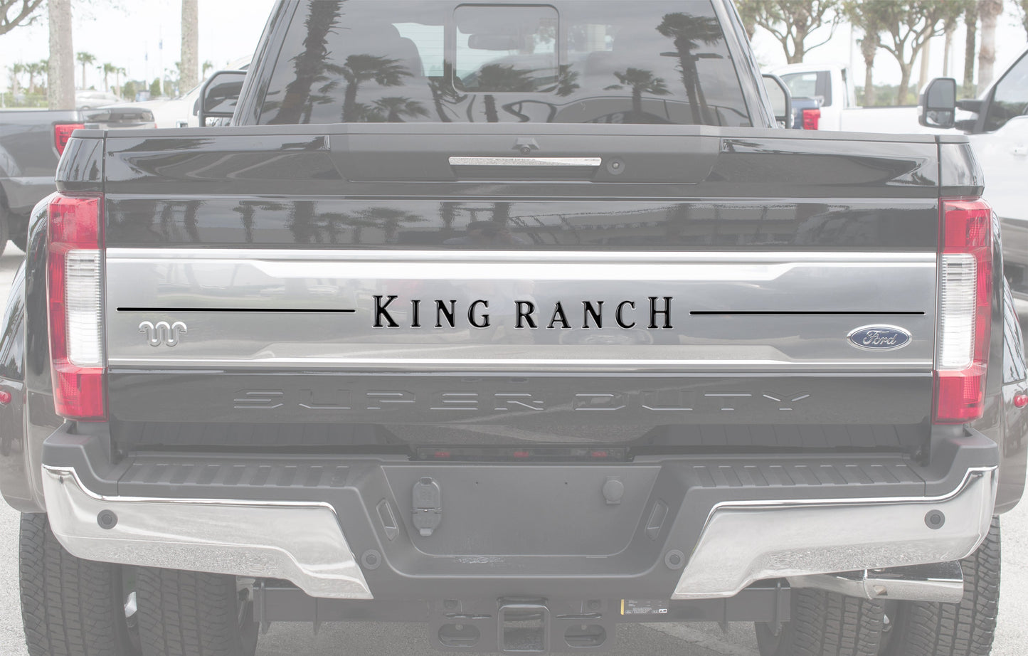 Tailgate Letter Inserts Fits 2017-2019 Ford Super Duty King Ranch by Tufskinz.com