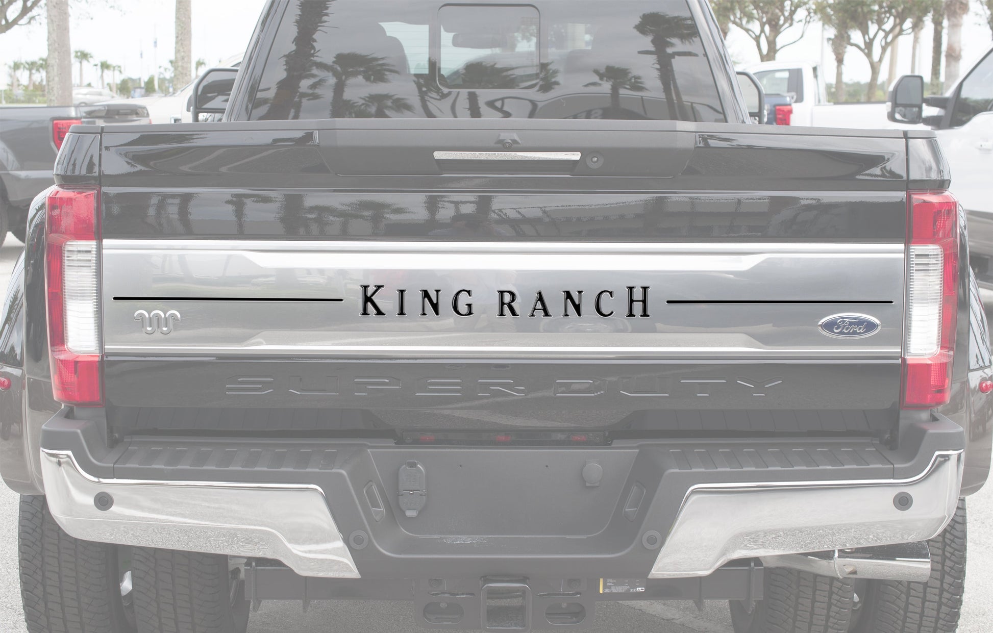 Tailgate Letter Inserts Fits 2017-2019 Ford Super Duty King Ranch by Tufskinz.com