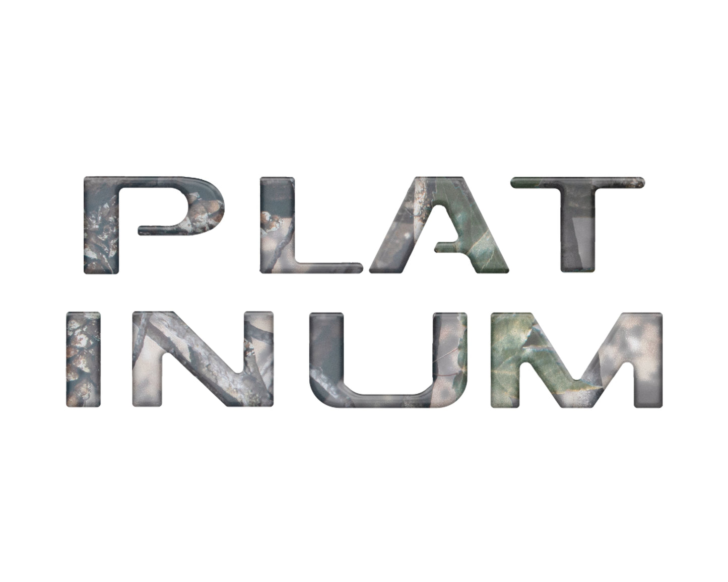 Platinum Tailgate Letter Inserts Fits 2023-2024 Ford Super Duty Platinum & 2025-2026 Platinum Plus by Tufskinz.com