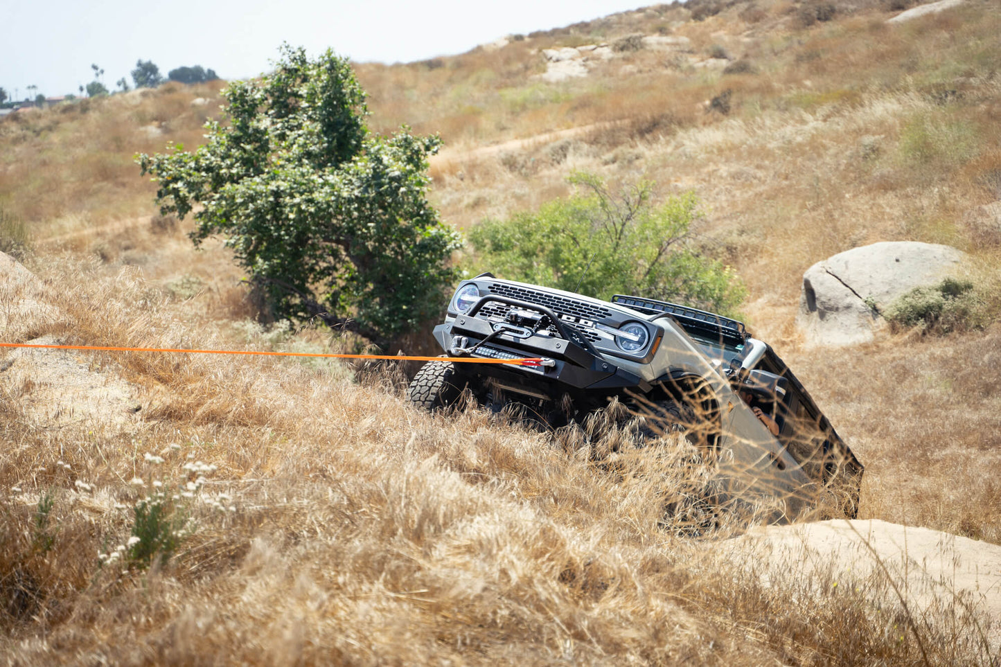 Black DV8 Elite Series D-Rings (Pair) by DV8 Offroad