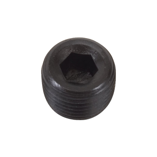 Pipe Plug by Edelbrock